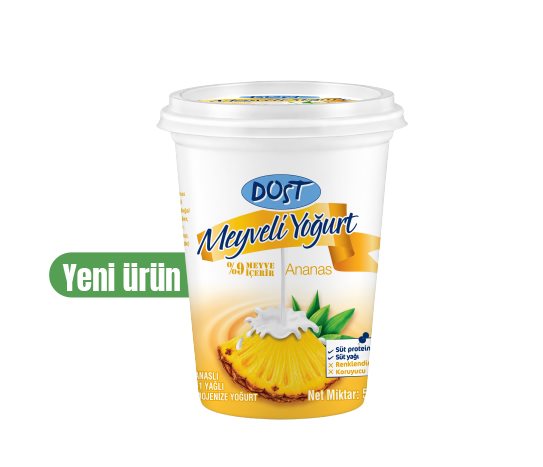ANANASLI MEYVELİ YOĞURT